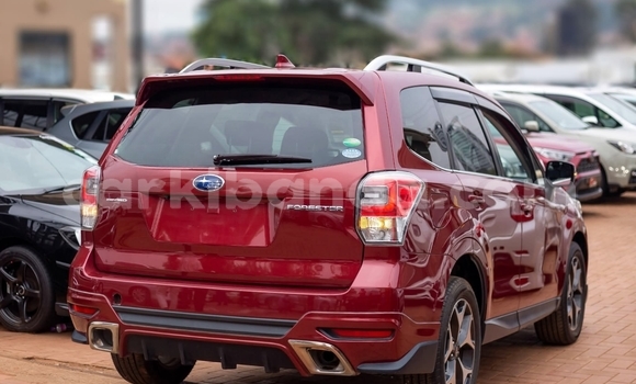 Gura Yakoze Subaru Forester Red Imodoka i Kampala mu Uganda Gura Yakoze Subaru Forester Red Imodoka i Kampala mu Uganda