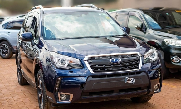 Buy Used Subaru Forester Blue Car in Kampala in Uganda
