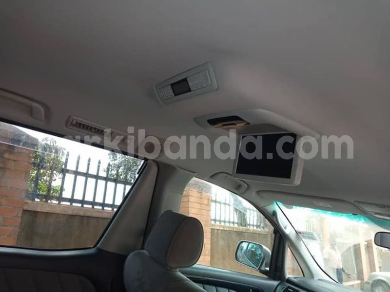 Big with watermark 51760999 174063423567009 2321395790167146496 n