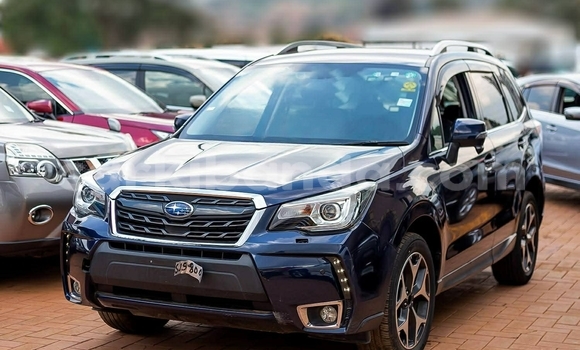 Gura Yakoze Subaru Forester Blue Imodoka i Kampala mu Uganda Gura Yakoze Subaru Forester Blue Imodoka i Kampala mu Uganda