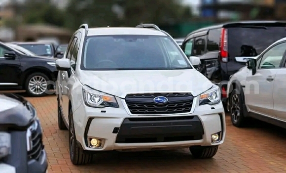 Buy Used Subaru Forester White Car in Kampala in Uganda