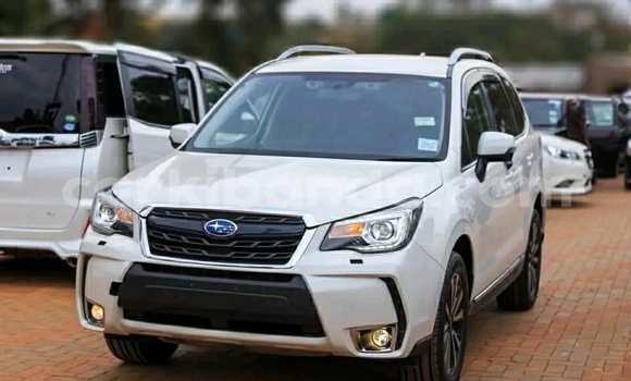 Gura Yakoze Subaru Forester White Imodoka i Kampala mu Uganda Gura Yakoze Subaru Forester White Imodoka i Kampala mu Uganda
