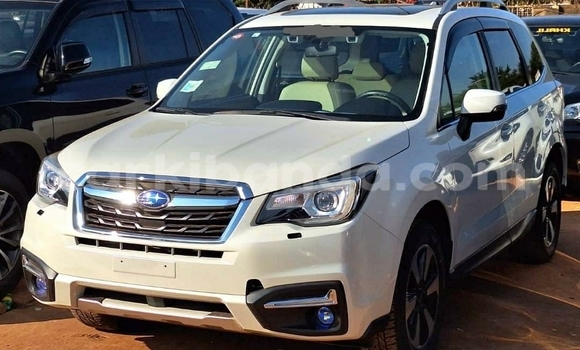 Buy Used Subaru Forester White Car in Kampala in Uganda