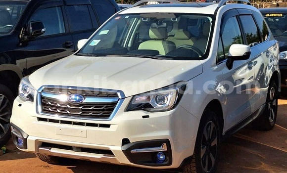 Nunua Ilio tumika Subaru Forester Nyeupe Gari ndani ya Kampala nchini Uganda