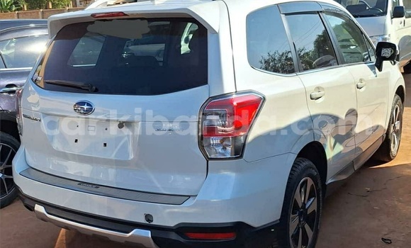 Buy Used Subaru Forester White Car in Kampala in Uganda Buy Used Subaru Forester White Car in Kampala in Uganda