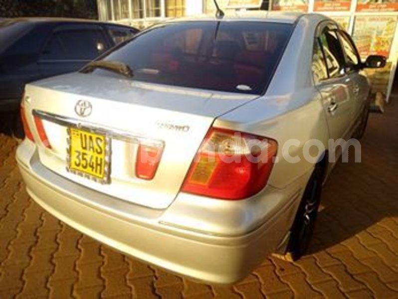 Big with watermark 51056012 171568580483160 8783980411274395648 n