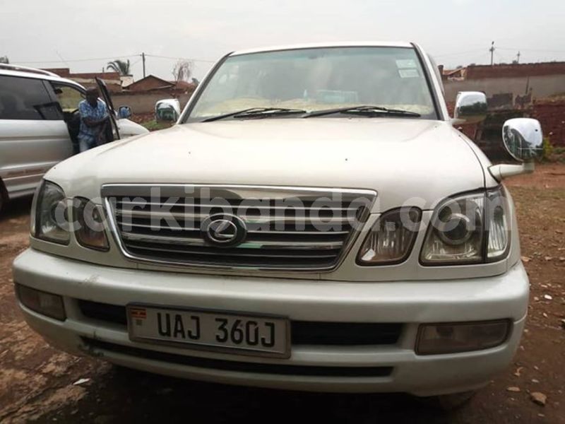 Big with watermark 50629980 169258374047514 510787107459956736 n