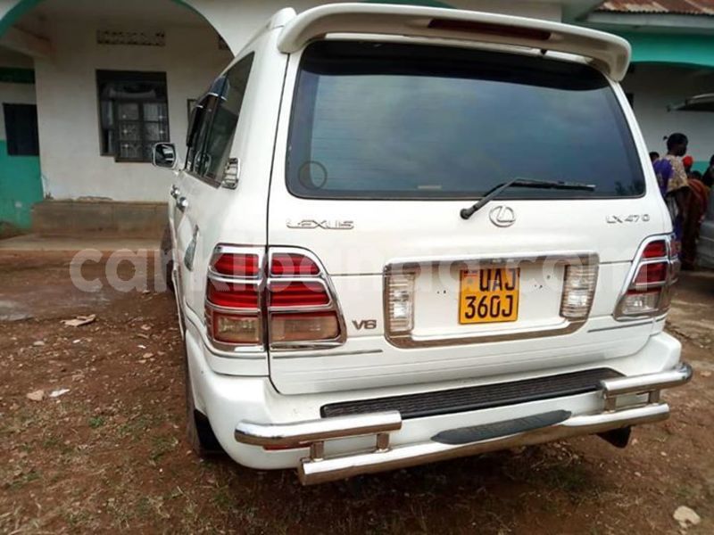 Big with watermark 50608254 169258390714179 3974276544867598336 n