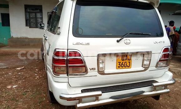 Buy Used Lexus LX White Car in Kampala in Uganda Buy Used Lexus LX White Car in Kampala in Uganda