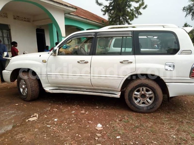 Big with watermark 50506365 169258457380839 290473495836491776 n