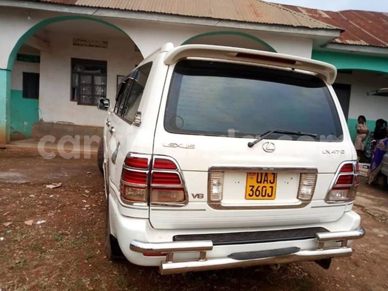 Big with watermark 51112624 169258490714169 7596238764985286656 n