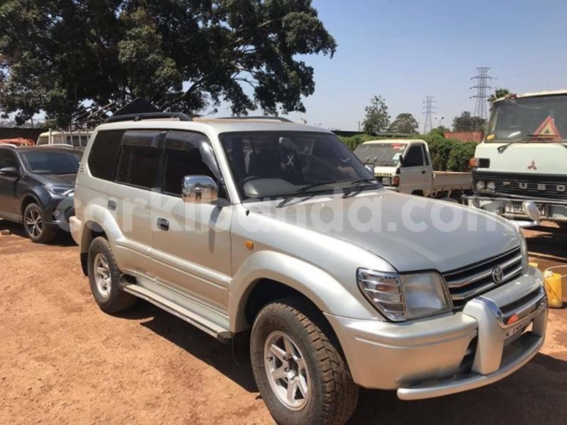 Big with watermark 52075933 2284840528437735 9136659726640087040 o