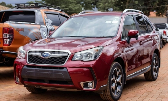 Buy Used Subaru Forester Other Car in Kampala in Uganda Buy Used Subaru Forester Other Car in Kampala in Uganda