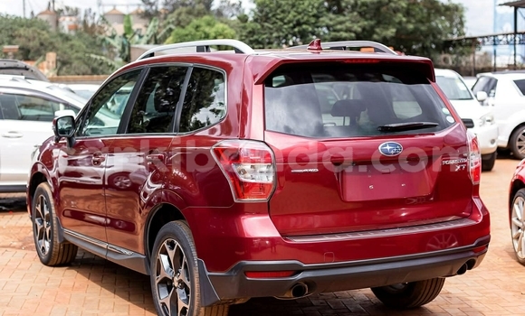 Buy Used Subaru Forester Other Car in Kampala in Uganda Buy Used Subaru Forester Other Car in Kampala in Uganda