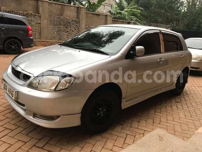 Big with watermark 52309208 2283908248530963 6414703591252033536 o