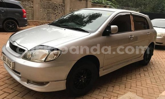 Buy Used Toyota Allex Silver Car in Kampala in Uganda Buy Used Toyota Allex Silver Car in Kampala in Uganda