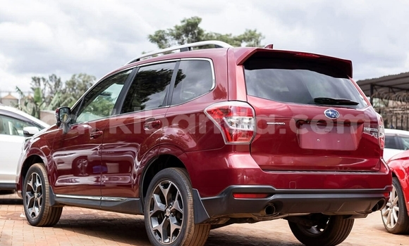 Buy Used Subaru Forester Other Car in Kampala in Uganda Buy Used Subaru Forester Other Car in Kampala in Uganda