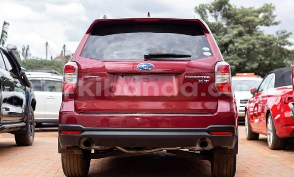 Buy Used Subaru Forester Other Car in Kampala in Uganda Buy Used Subaru Forester Other Car in Kampala in Uganda