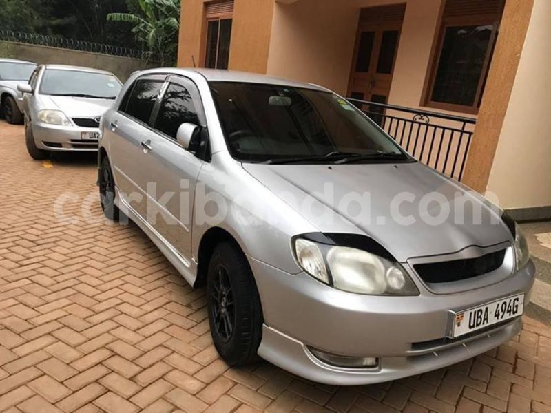 Big with watermark 51730724 2283908271864294 4612395083168219136 o