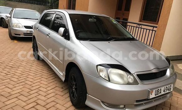 Buy Used Toyota Allex Silver Car in Kampala in Uganda Buy Used Toyota Allex Silver Car in Kampala in Uganda