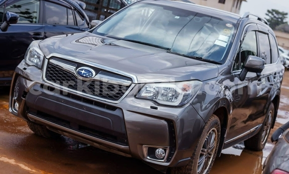 Buy Used Subaru Forester Beige Car in Kampala in Uganda