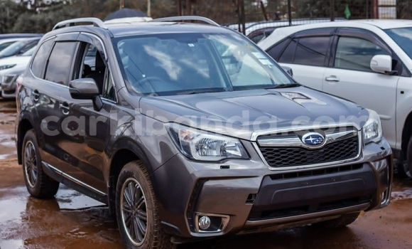 Gura Yakoze Subaru Forester Beige Imodoka i Kampala mu Uganda Gura Yakoze Subaru Forester Beige Imodoka i Kampala mu Uganda