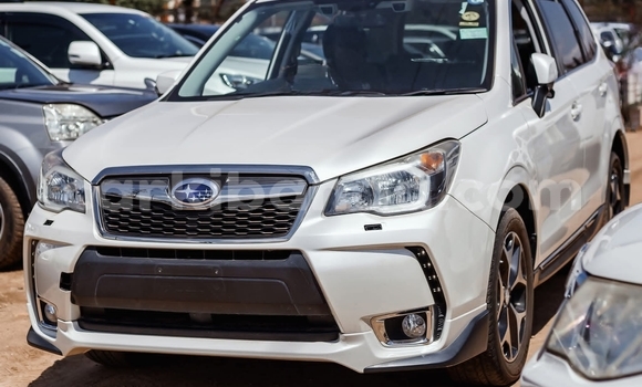 Buy Used Subaru Forester White Car in Kampala in Uganda