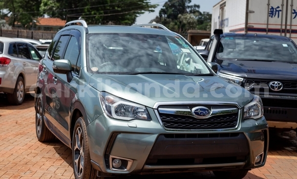 Buy Used Subaru Forester Green Car in Kampala in Uganda