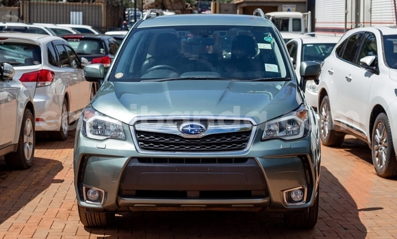 Gura Yakoze Subaru Forester Green Imodoka i Kampala mu Uganda Gura Yakoze Subaru Forester Green Imodoka i Kampala mu Uganda