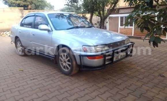 Acheter Occasion Voiture Toyota 4Runner Autre à Kampala, Ouganda