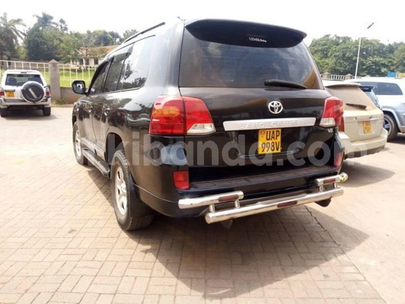 Big with watermark 51354291 2280806028841185 4276500156397912064 o