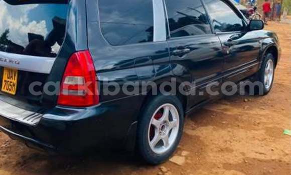 Acheter Occasion Voiture Toyota Corolla Noir à Kampala, Ouganda