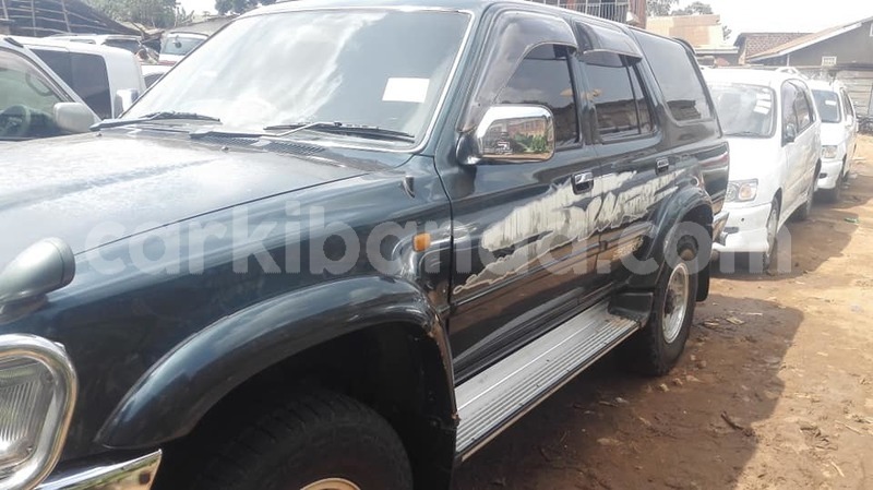 Big with watermark 51757592 2390668240978637 253952160557957120 n