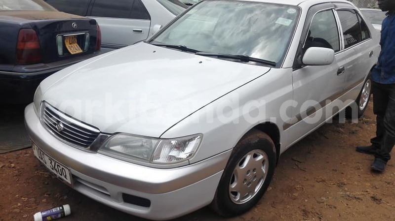 Big with watermark 51199743 2378189735559821 8591962392089329664 n