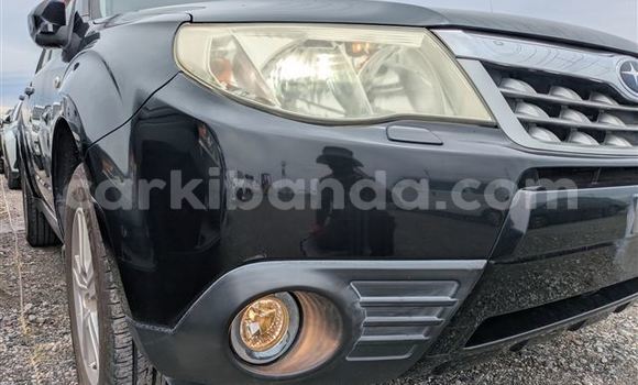 Acheter Import Voiture Subaru Forester Noir à Kampala, Ouganda Acheter Import Voiture Subaru Forester Noir à Kampala, Ouganda