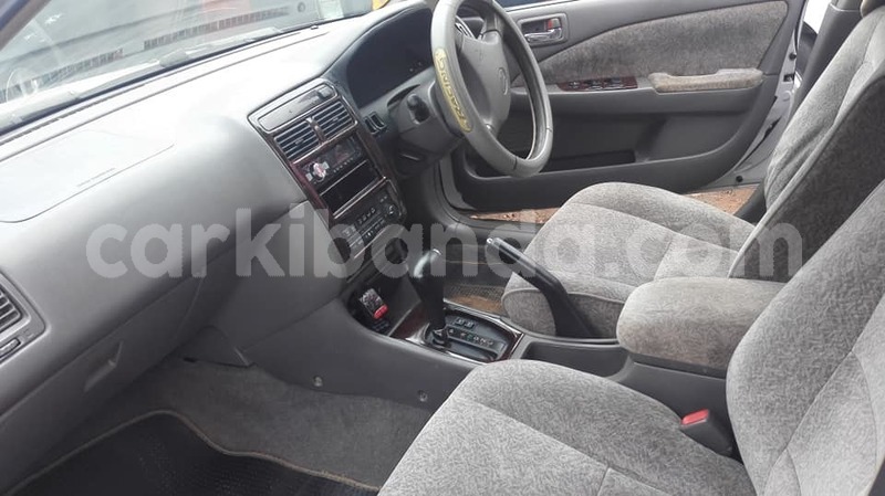 Big with watermark 51486664 2378189672226494 6213044139286593536 n