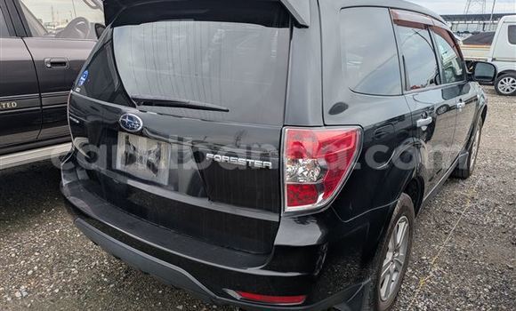 Acheter Import Voiture Subaru Forester Noir à Kampala, Ouganda Acheter Import Voiture Subaru Forester Noir à Kampala, Ouganda