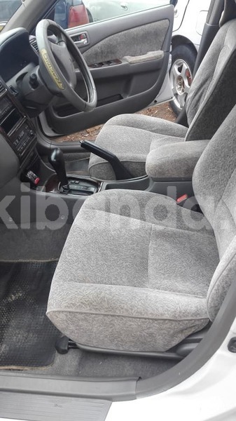 Big with watermark 51407527 2378189588893169 8329620764537913344 n