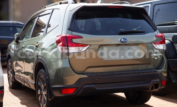 Buy Used Subaru Forester Green Car in Kampala in Uganda Buy Used Subaru Forester Green Car in Kampala in Uganda
