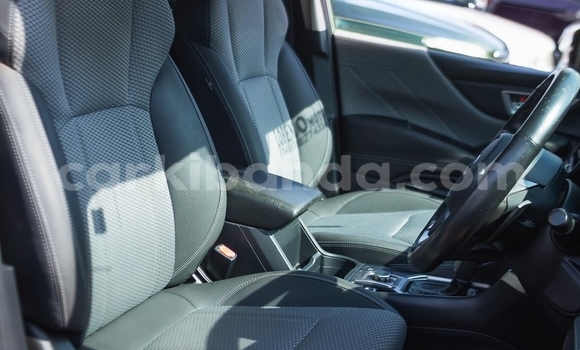 Buy Used Subaru Forester Green Car in Kampala in Uganda Buy Used Subaru Forester Green Car in Kampala in Uganda