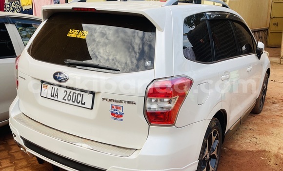 Buy New Subaru XT White Car in Kampala in Uganda Buy New Subaru XT White Car in Kampala in Uganda