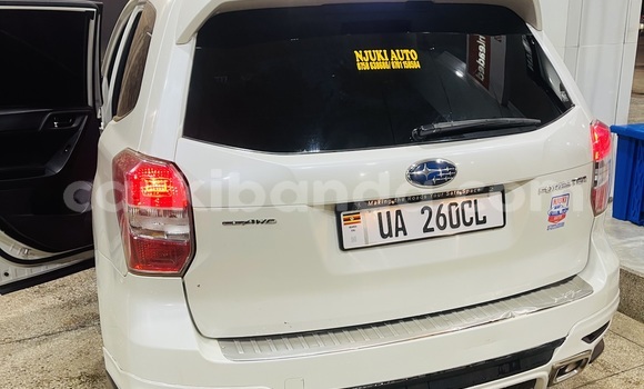Buy New Subaru XT White Car in Kampala in Uganda Buy New Subaru XT White Car in Kampala in Uganda