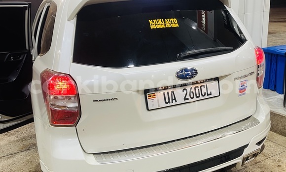 Buy New Subaru XT White Car in Kampala in Uganda Buy New Subaru XT White Car in Kampala in Uganda