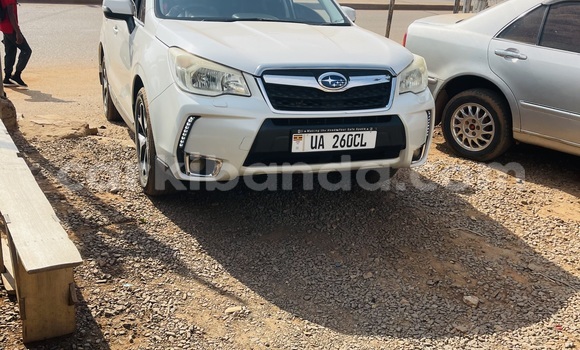 Buy New Subaru XT White Car in Kampala in Uganda Buy New Subaru XT White Car in Kampala in Uganda
