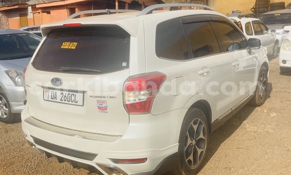 Buy New Subaru XT White Car in Kampala in Uganda Buy New Subaru XT White Car in Kampala in Uganda