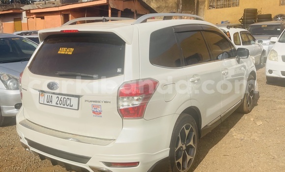 Buy New Subaru XT White Car in Kampala in Uganda Buy New Subaru XT White Car in Kampala in Uganda
