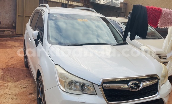 Buy New Subaru XT White Car in Kampala in Uganda Buy New Subaru XT White Car in Kampala in Uganda