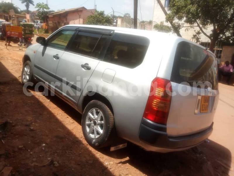 Big with watermark 52332972 617854395334358 3695853473133232128 n 1