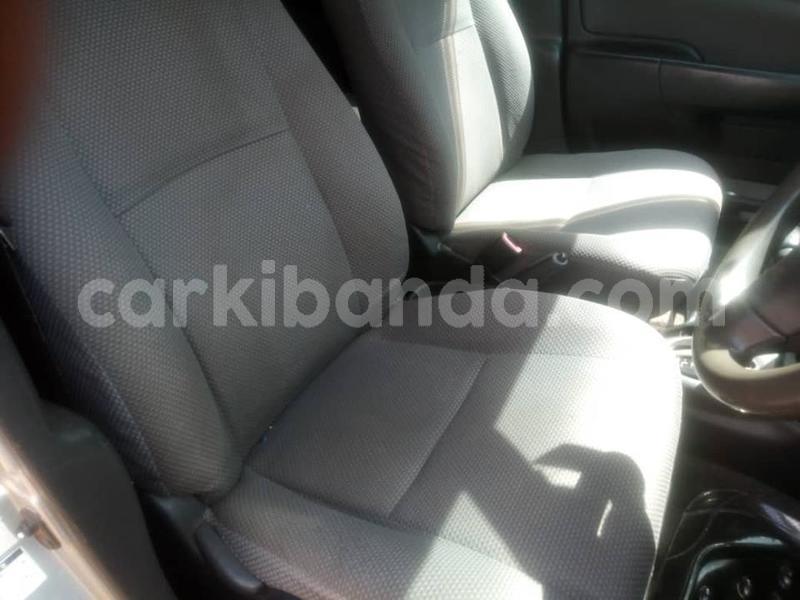 Big with watermark 52432356 617854852000979 6794227766477717504 n