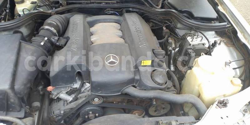 Big with watermark 51791436 2343709675642331 8472711693107986432 n